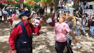 Şotik Köy Pikniği - Kol Oyunu