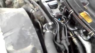 MOV 0454
