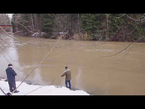 Skagit casting. CND GT 16 Thompson and skagit
