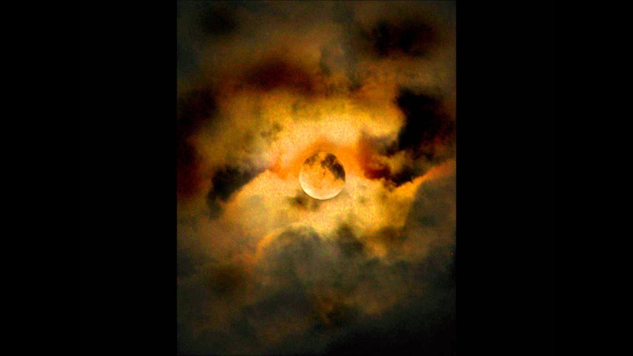 Element - Bitter Whispers