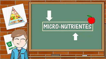 ¿Cuáles son los 8 micronutrientes?