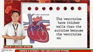 GRADE 6 SCIENCE Q2 - CIRCULATORY SYSTEM