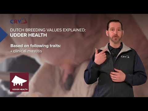 Dutch Breeding Values explained - CRV Udder Health