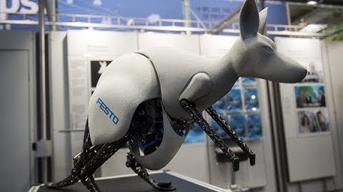 Meet the Bionic Kangaroo | The Edge