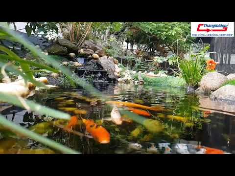 Video Chuồng chim cảnh đẹp, chuồng Aviary nuôi chim sinh... - youtube