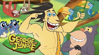 Best of Jungle Animals 🐵 | George of the Jungle | Compilation | Cartoons For Kids