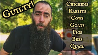 The "Silent Killer" of HOMESTEADING (And How to AVOID IT)