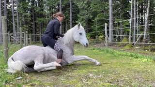 7 Ways to Get on a Horse Bareback Short Version