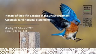 Plenary of the Fifth Session of the UN Environment Assembly (and National Statements)