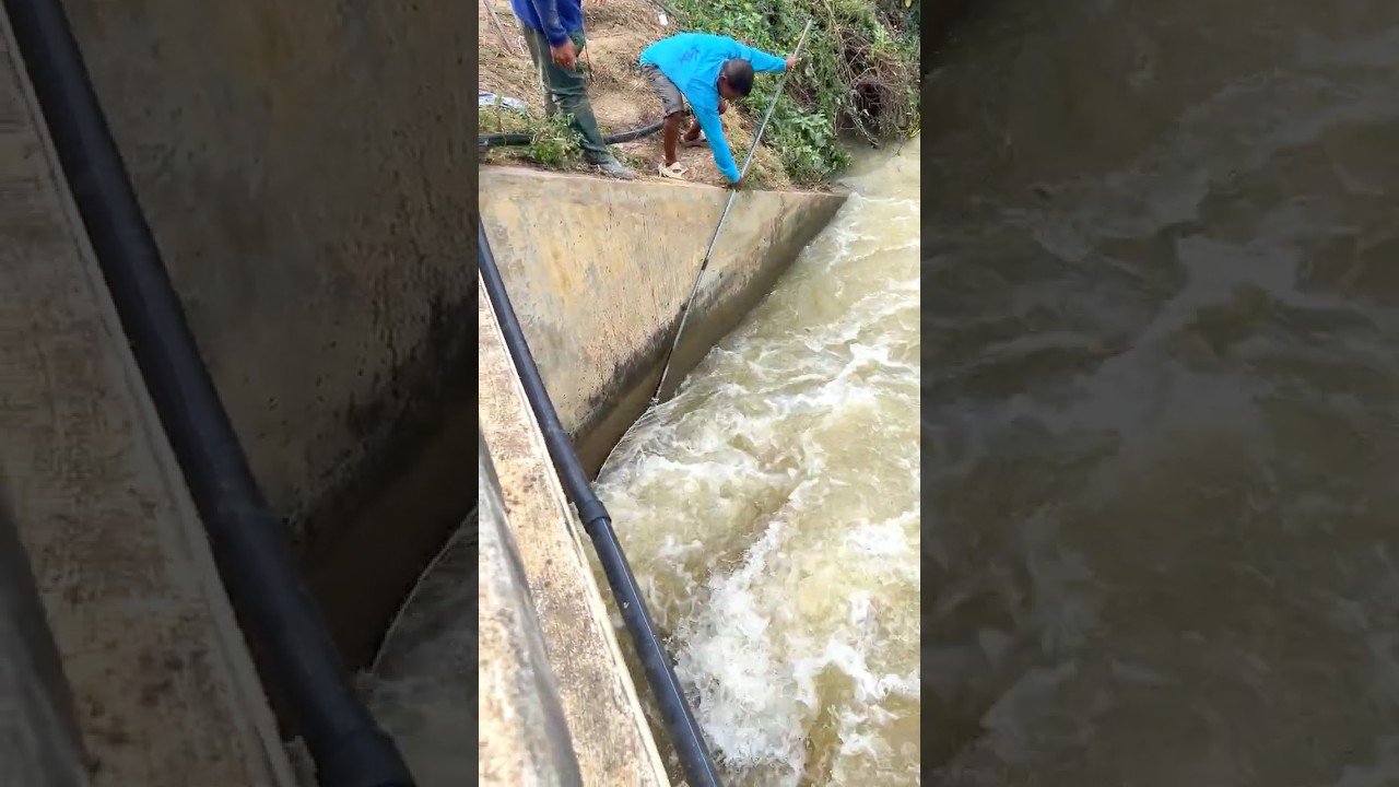 Real Life 100% Net Fishing In River At The Countryside (Part 1299) 