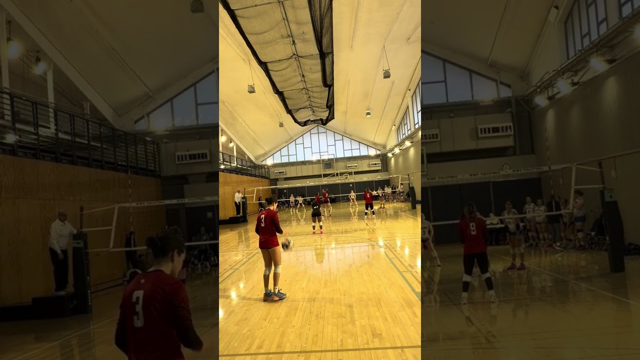 Power league Blue Royals Onyx