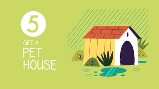 :::Pet Proof Garden - animated videographic:::