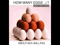 How many eggs 🐣? 15. 31. 33?