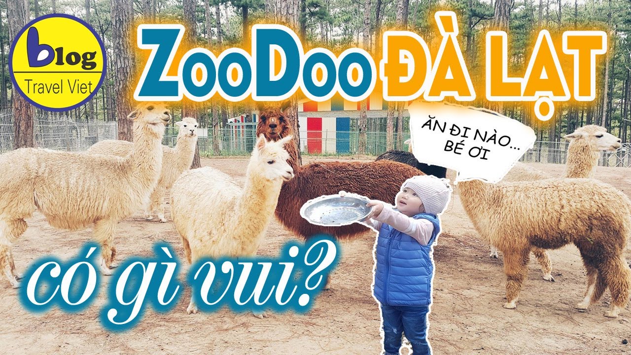 zoodoo da lat  New 2022  Du lịch vườn thú ZooDoo Đà Lạt 2021 - trải nghiệm vườn thú phong cách Úc