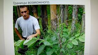 Железов В. К.  Лучший сад в Подмосковье. Серия 1.