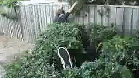 Joel Bush Jumping