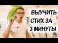 Как быстро выучить стих за 3 минуты Стихотворение Фета Бал Легко запомнить стих
