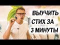 Как быстро выучить стих за 3 минуты | Стихотворение Фета - Бал. Выучить и рассказать стих на видео