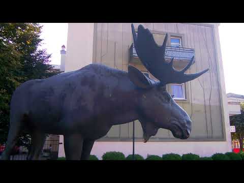 СОВЕТСК.ЧТО ТАМ НА ГРАНИЦЕ С ЛИТВОЙ