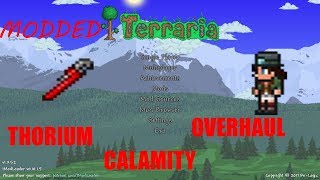 How to download tmodloader + mods terraria