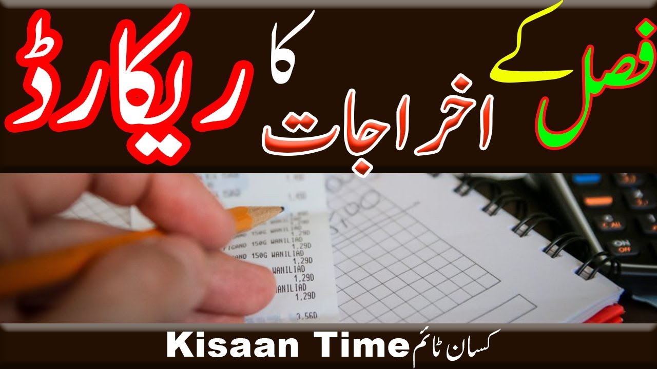 Expenses of crops in pakistan فصلات کے اخراجات Kisan Time latest update kisaan Time کسان ٹائم