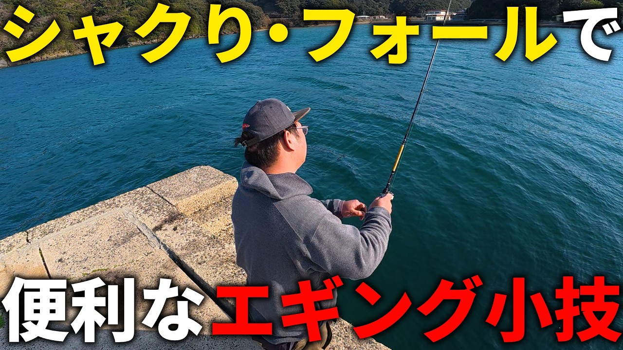 驚くほどエギングのシャクり＆フォールが簡単になる、使える小技を教えます。