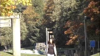 Burien's Seahurst Park Shoreline Restoration Project