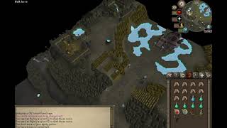 Wyrms slayer runescape