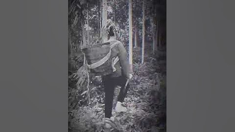 Vương Ngọc Thảo : câu chuyện ma rừng