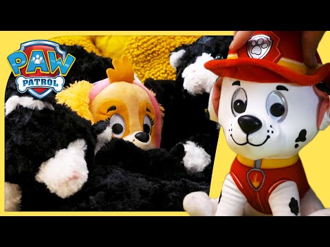The Pups Play Hide & Seek and MORE | PAW Patrol | Toy Play for Kids