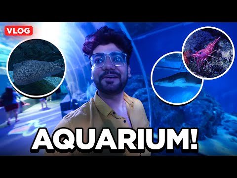 My BOAT was surrounded by SHARKS! - BANGKOK VLOG 3