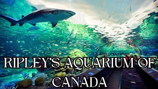 🐠 🐟 Ripley's Aquarium of Canada - 4K 🐠 🐟| Toronto, Ontario | Ripley's Aquarium Full Tour 🐠 🐟