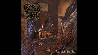 COFFIN CURSE - Where Sickness Thrives