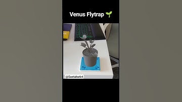 Venus Flytrap! Better video quality in my channel!🌱 #cgi #3d #vfx #3danimation #funny #animation