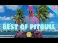 Best Of Pitbull Mix 2023 | #49 | Pitbull | The Best of Pitbull 2023 by DJ WZRD