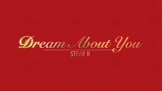 DREAM ABOUT YOU WITH LYRICS BY STEVIE B