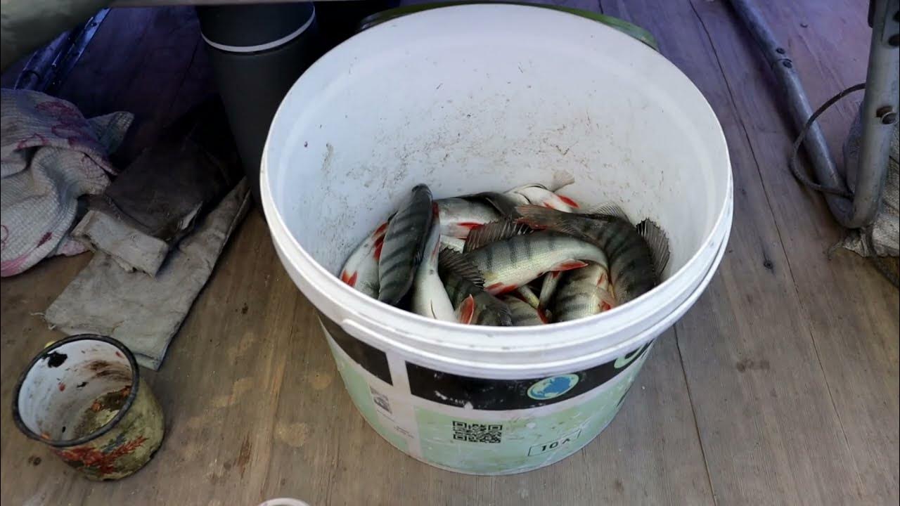 Наловил сороги. Рыбалка в сов хакасии зимой. Советская хакасия рыбалка. Хакасия рыболовство. Зимняя рыбалка в хакасии.