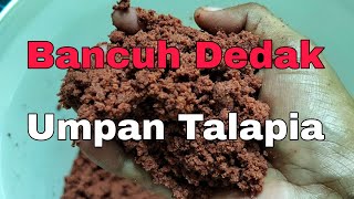 Bancuh Dedak Umpan Talapia