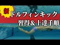 おとーさん式ドルフィンキック習得&上達手順#1460