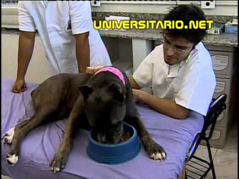 Cursos da ufrgs