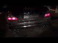 W211 e55 amg exhaust and lion
