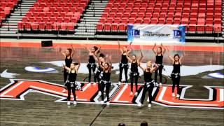 Elgin High School Dance Team State 2015!