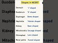 Shapes In Ncert#neet2026 #inspireneet #neetaspirents #shapesinncert#stomach#duodenum