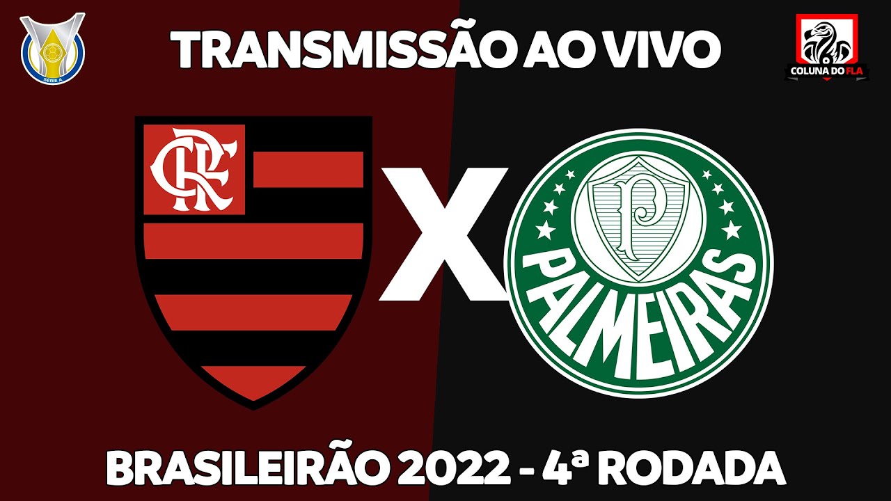 Campeonato Brasileiro: como assistir Flamengo x Palmeiras online