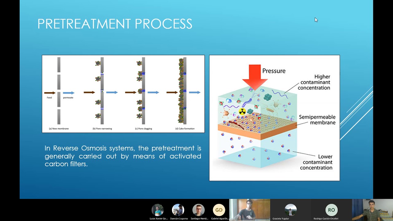 Well water in the Guarani aquifer region: analysis of water purification by reverse osmosis systems