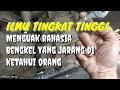 CARA MENGETAHUI BOLT KENDOR TANPA MENYENTUH