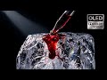 CRIMSON ICE - 4K HDR 60fps (OLED Black Test) | Kamtatva