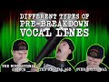 Different Types Of Pre-Breakdown Vocal Lines