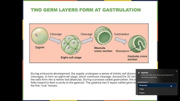 BIOL 1407 Chapter 27 Part 1 Recorded Lecture