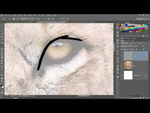 Photoshop tutorial:  Hand-painting an image with a Wacom Cintiq | lynda.com
